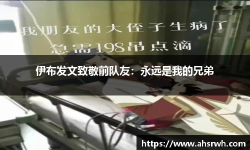 金年会